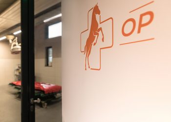 Pferdetierarzt Orthopädie / Chirurgie (m/w/d)