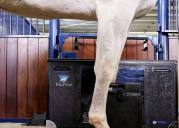 Verbesserte Bildgebung durch EqueTom