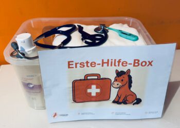 Kurs für Besitzer: Erste Hilfe am Pferd am 1.11.2025